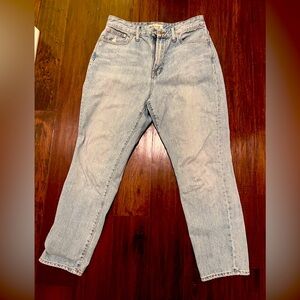 Madewell The Curvy Perfect Vintage